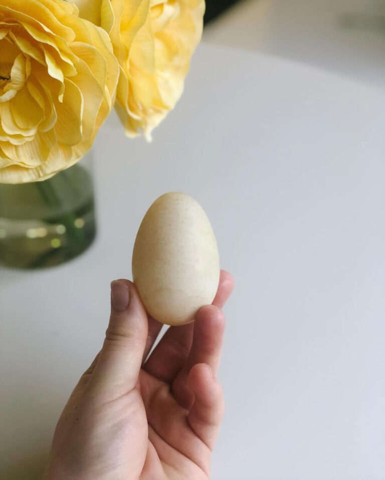 *SOLD OUT* Pastured, NoSoy, Organically fed, Washed Dozen Duck Eggs