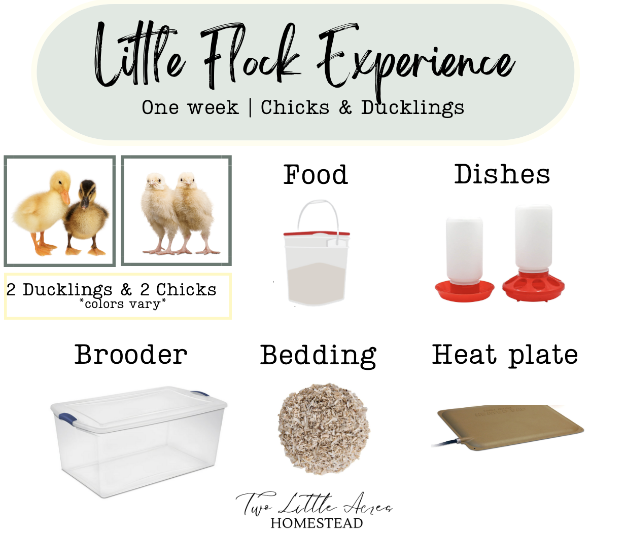 Screenshot-2024-04-07-at-9.20.